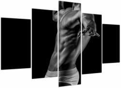 Mivali Tablou - Artă masculină, din cinci bucăți 150x105 cm (V023837V150105)