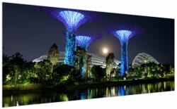 Mivali Tablou cu lună plină în grădinile din Singapur, dintr-o bucată 200x100 cm (V021710V200100)