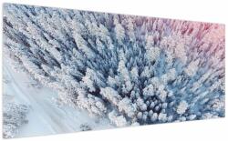 Mivali Tablou cu copaci înzăpeziți, dintr-o bucată 200x100 cm (V021172V200100)