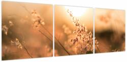 Mivali Tablou - Iarbă la soare, din trei bucăți 120x40 cm (V023919V12040)