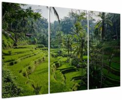 Mivali Tablou cu terasele cu orez Tegalalang, Bali, din trei bucăți 120x80 cm (V021569V120803PCS)