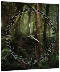 Mivali Tablou - Pădurea enigmatică (cu ceas), dintr-o bucată 30x30 cm cu ceas (V021680V3030C)