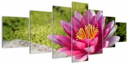 Mivali Tablou - Lotus, din șapte bucăți 210x100 cm (V021330V210100)