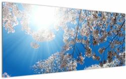 Mivali Tablou - Flori de cireș, dintr-o bucată 120x50 cm (V022404V12050)