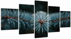 Mivali Tablou -Crenguțe ale unui conifer (cu ceas), din cinci bucăți 150x80 cm cu ceas (V022700V15080C)