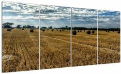 Mivali Tablou cu câmp recoltat, din patru bucăți 160x80 cm (V020255V16080)
