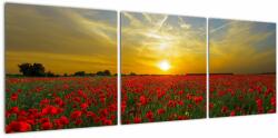Mivali Tablou cu câmp cu maci, din trei bucăți 120x40 cm (V020986V12040)