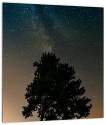 Mivali Tablou cu cerul nocturn și copaci, dintr-o bucată 30x30 cm (V020879V3030)