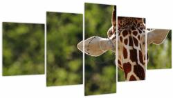 Mivali Tablou cu girafă din spate (cu ceas), din cinci bucăți 150x80 cm cu ceas (V020638V15080C)