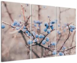 Mivali Tablou cu fructe pe tufiș, din trei bucăți 120x80 cm (V022290V120803PCS)