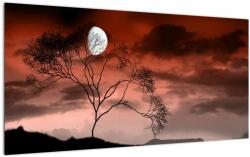 Mivali Tablou pe sticlă - Luna luminează noaptea, dintr-o bucată 100x50 cm pe sticlă (V021931V10050GD)