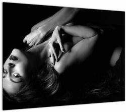 Mivali Tablou - Portretul femeii în lenjerie intimă, dintr-o bucată 70x50 cm (V023494V7050)