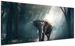 Mivali Tablou cu elefant în djunglă, dintr-o bucată 200x100 cm (V020490V200100)