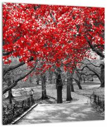 Mivali Tablou - Copaci roșii, Central Park, New York, dintr-o bucată 30x30 cm (V023117V3030)