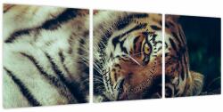 Mivali Tablou - Tigrul Siberian (cu ceas), din trei bucăți 90x30 cm cu ceas (V021668V9030C)