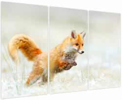 Mivali Tablou - Vulpe care sare, din trei bucăți 120x80 cm (V023933V120803PCS)