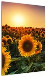 Mivali Tablou - Floarea soarelui, dintr-o bucată 50x70 cm (V022507V5070)