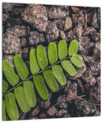 Mivali Tablou cu planta verde, dintr-o bucată 30x30 cm (V020371V3030)