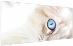 Mivali Tablou - Pisicuță, dintr-o bucată 200x100 cm (V023746V200100)
