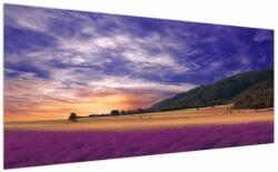 Mivali Tablou cu lunca cu lavandă, dintr-o bucată 200x100 cm (V022156V200100)
