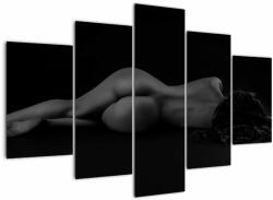 Mivali Tablou - Femeia întinsă nud, din cinci bucăți 150x105 cm (V022896V150105)
