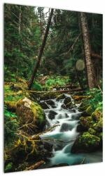 Mivali Tablou cu pârău în pădure, dintr-o bucată 50x70 cm (V021218V5070)