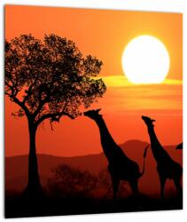 Mivali Tablou pe sticlă cu girafe în apus de soare, dintr-o bucată 30x30 cm pe sticlă (V022006V3030GD)