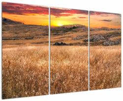 Mivali Tablou cu câmp, din trei bucăți 120x80 cm (V020837V120803PCS)