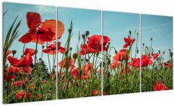 Mivali Tablou - Pe câmpul cu maci, din patru bucăți 160x80 cm (V021727V16080)