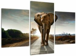 Mivali Tablou cu elefant, din trei bucăți 90x60 cm (V022219V90603PCS)
