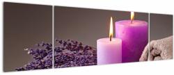 Mivali Tablou cu produsele spa, din trei bucăți 170x50 cm (V020931V17050)