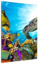 Mivali Tablou - Recif de corali, dintr-o bucată 50x70 cm (V023342V5070)
