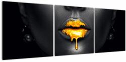 Mivali Tablou - Buzele femeii, din trei bucăți 120x40 cm (V022098V12040)