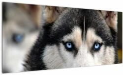 Mivali Tablou cu câinele husky, dintr-o bucată 100x40 cm (V020526V10040)