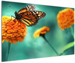 Mivali Tablou cu fluture, dintr-o bucată 120x80 cm (V022134V12080)
