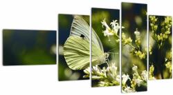 Mivali Tablou cu fluture, din cinci bucăți 110x60 cm (V021360V11060)