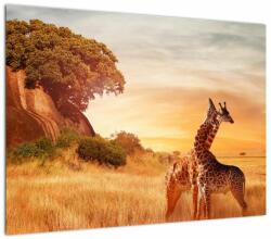 Mivali Tablou Girafe în Africa, dintr-o bucată 70x50 cm (V022363V7050)