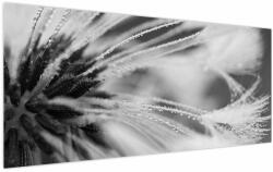Mivali Tablou - Macro, alb-negru, dintr-o bucată 120x50 cm (V024115V12050)