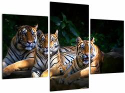 Mivali Tablou - Tigrii frați, din trei bucăți 90x60 cm (V022849V90603PCS)