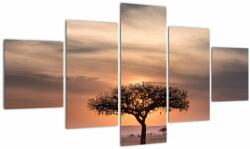 Mivali Tablou apusului de soare în Tanzania, din cinci bucăți 125x70 cm (V021578V12570)