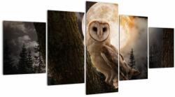 Mivali Tablou cu bufnița, din cinci bucăți 150x80 cm (V022174V150805PCS)