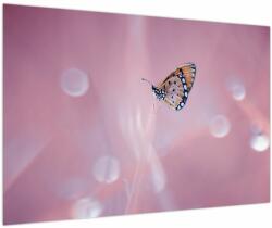 Mivali Tablou - Fluture, dintr-o bucată 90x60 cm (V023912V9060)