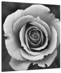 Mivali Tablou - Trandafir, dintr-o bucată 40x40 cm (V022585V4040)