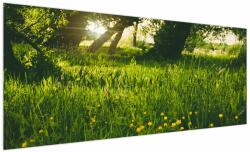 Mivali Tablou cu natura - lunca, dintr-o bucată 250x125 cm (V020157V250125)