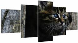 Mivali Tablou cu pisicuța, din cinci bucăți 150x80 cm (V020637V150805PCS)