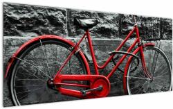 Mivali Tablou - Bicicleta istorică, dintr-o bucată 120x50 cm (V021989V12050)