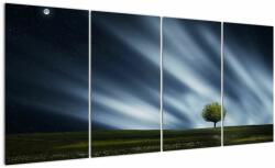 Mivali Tablou -Aurora boreală, din patru bucăți 160x80 cm (V022594V16080)