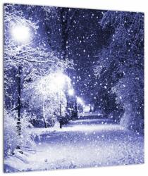 Mivali Tablou pe sticlă - Noaptea magică de iarnă, dintr-o bucată 40x40 cm pe sticlă (V023263V4040GD)