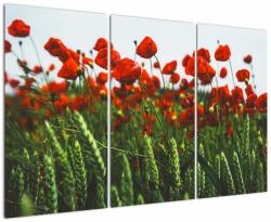 Mivali Tablou - Maci în vânt, din trei bucăți 120x80 cm (V022601V120803PCS)