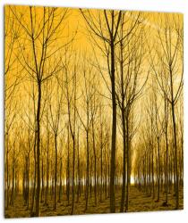 Mivali Tablou cu pădure în apus de soare, dintr-o bucată 30x30 cm (V020905V3030)